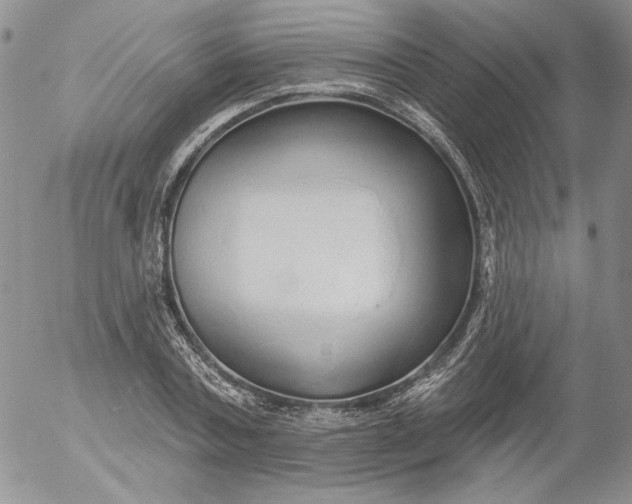 X0000053060787200508011913