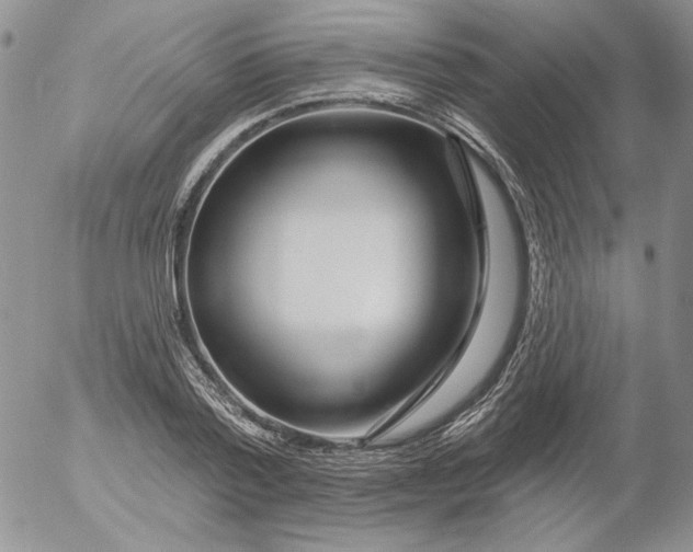 X0000053060788200508011913