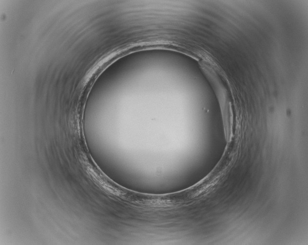 X0000053060789200508011913