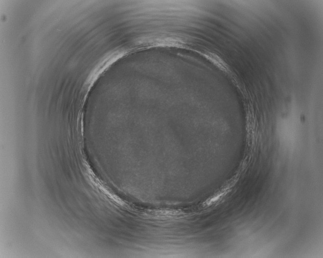 X0000053060790200508011913