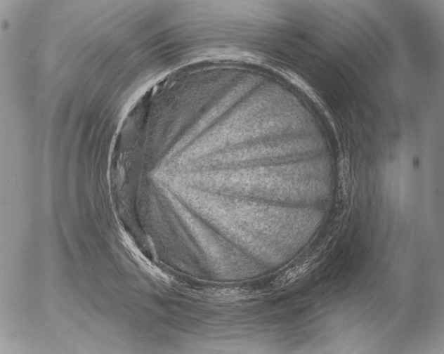 X0000053060791200508011913