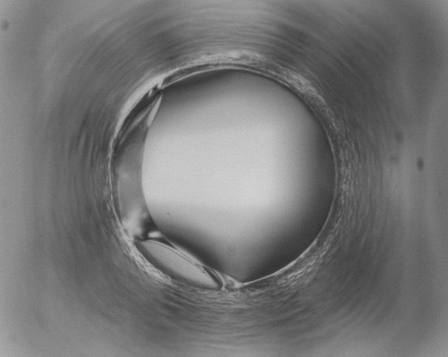 X0000053060792200508011913