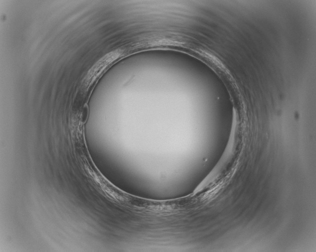 X0000053060793200508011913