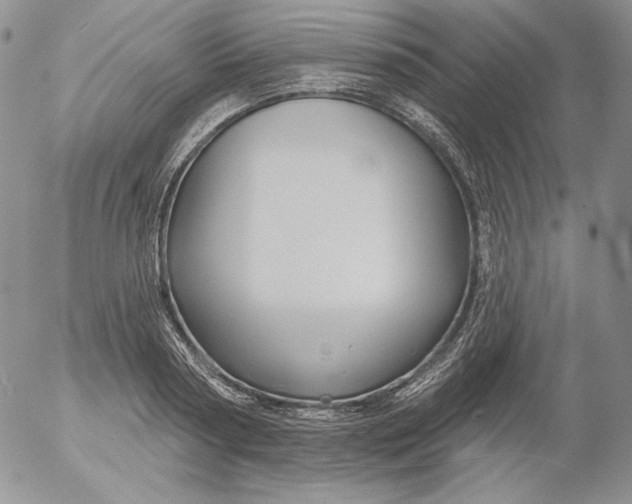 X0000053060794200508011913