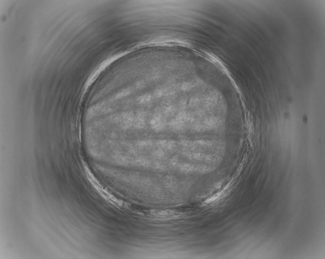 X0000053060795200508011912