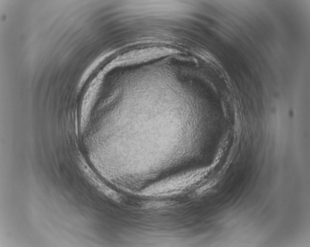 X0000053060796200508011912