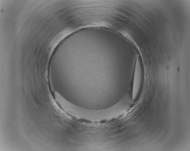 X0000053060797200508011912