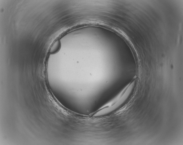 X0000053060799200508011912