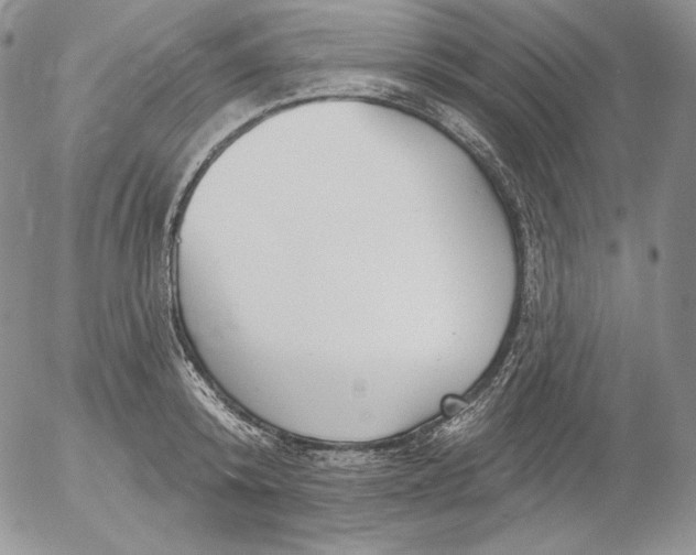 X0000053060800200508011912