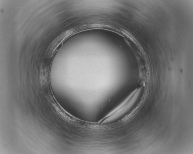 X0000053060801200508011912