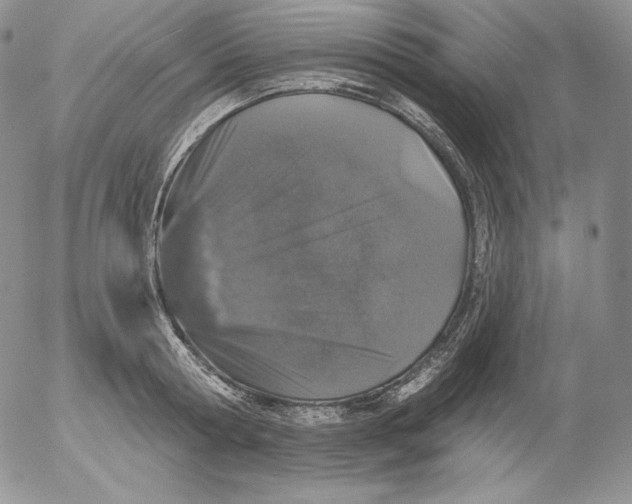 X0000053060802200508011912