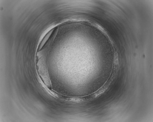 X0000053060803200508011912