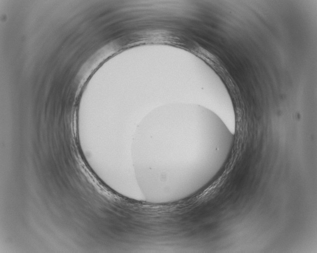 X0000053060804200508011912