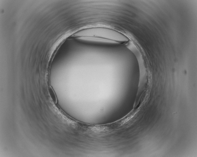 X0000053060805200508011912