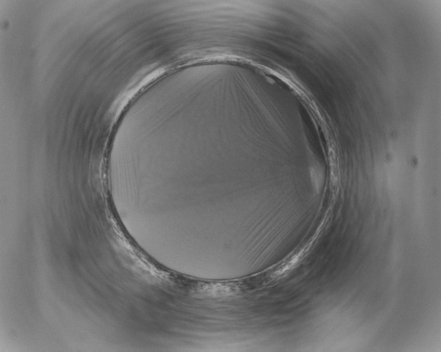 X0000053060806200508011912