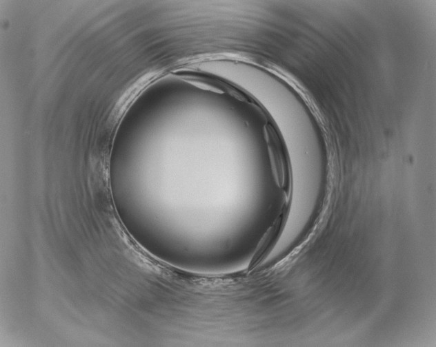 X0000053060809200508011912