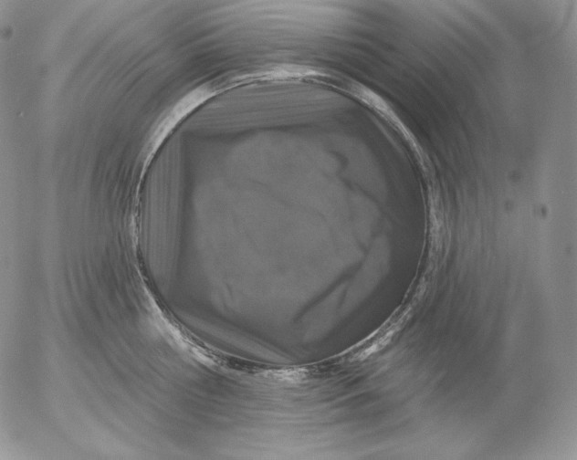 X0000053060810200508011912