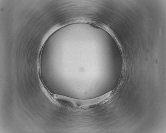 X0000053060811200508011912