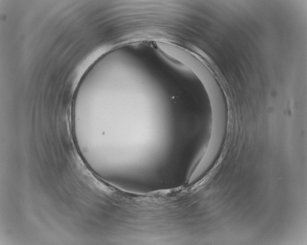 X0000053060812200508011912