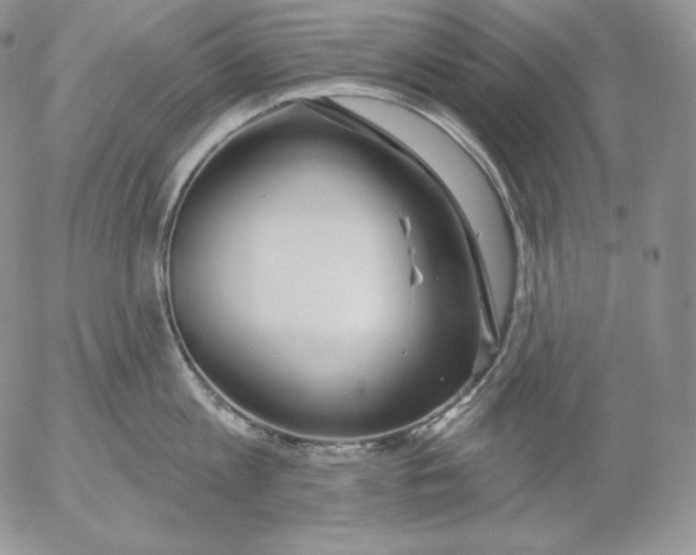 X0000053060813200508011912