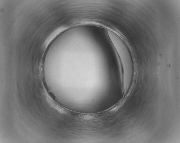 X0000053060814200508011912