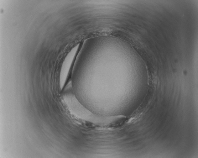 X0000053060818200508011911