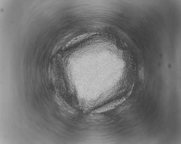 X0000053060819200508011911