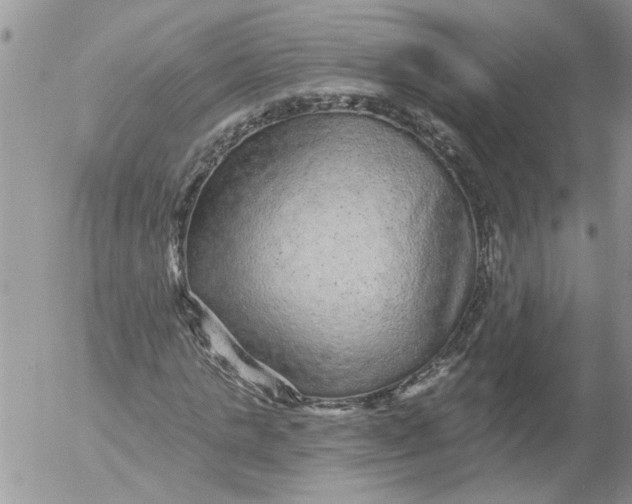 X0000053060821200508011911