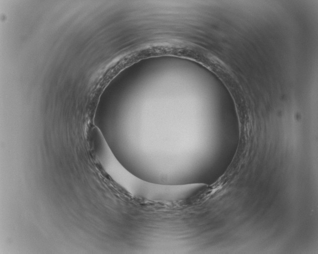 X0000053060822200508011911