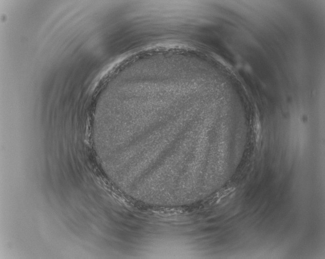 X0000053060823200508011911