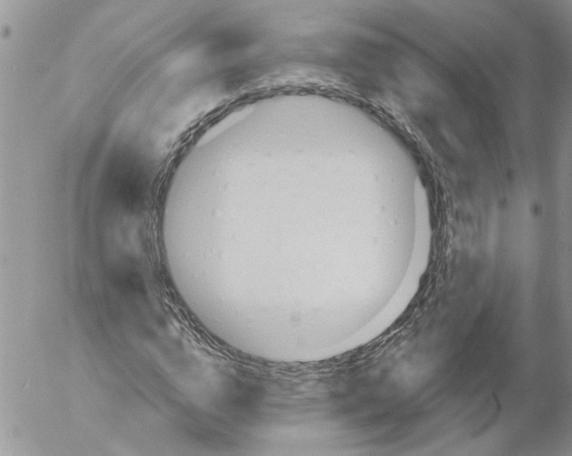 X0000053060824200508011911