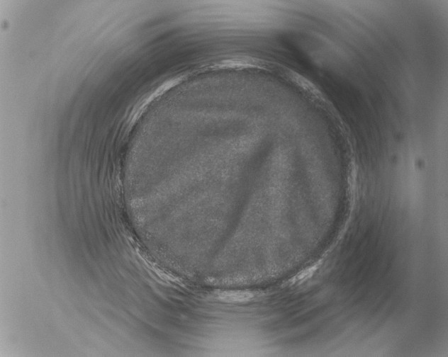 X0000053060825200508011911