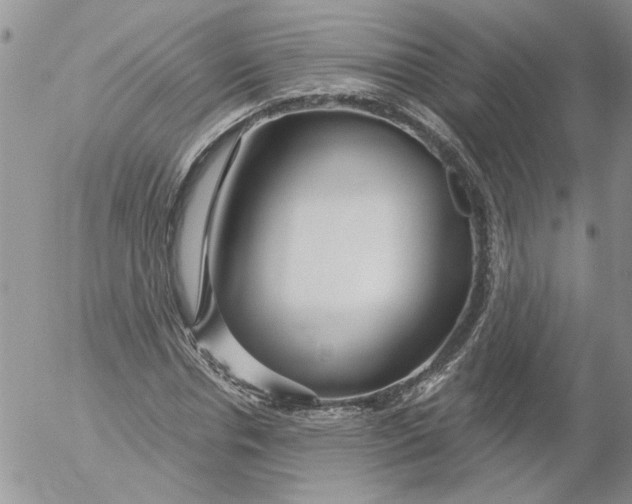 X0000053060826200508011911