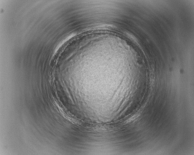 X0000053060827200508011911