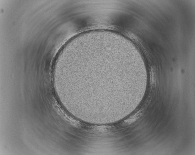 X0000053060828200508011912