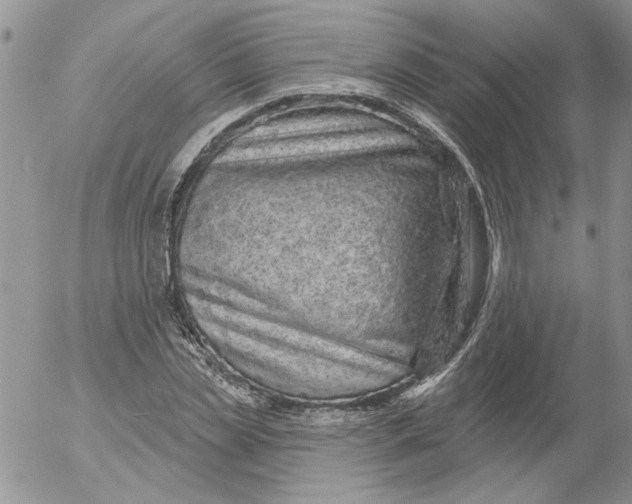 X0000053060829200508011912