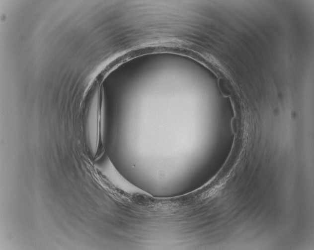 X0000053060830200508011912