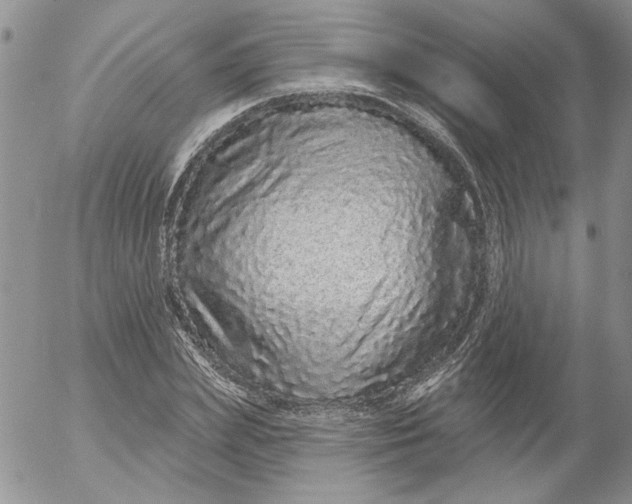 X0000053060831200508011912