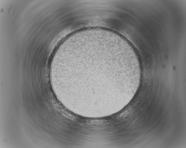 X0000053060832200508011912