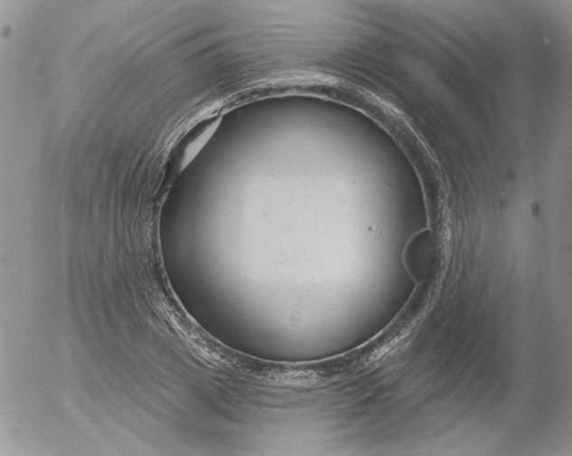 X0000053060833200508011912