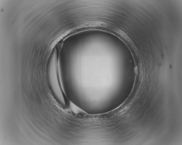 X0000053060834200508011912