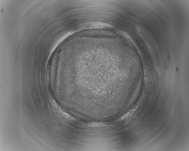 X0000053060835200508011912