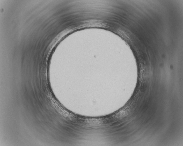 X0000053060836200508011912