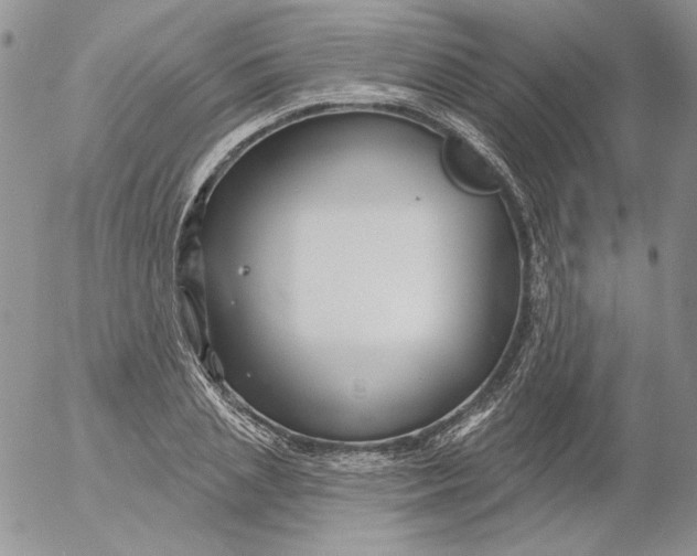 X0000053060837200508011912