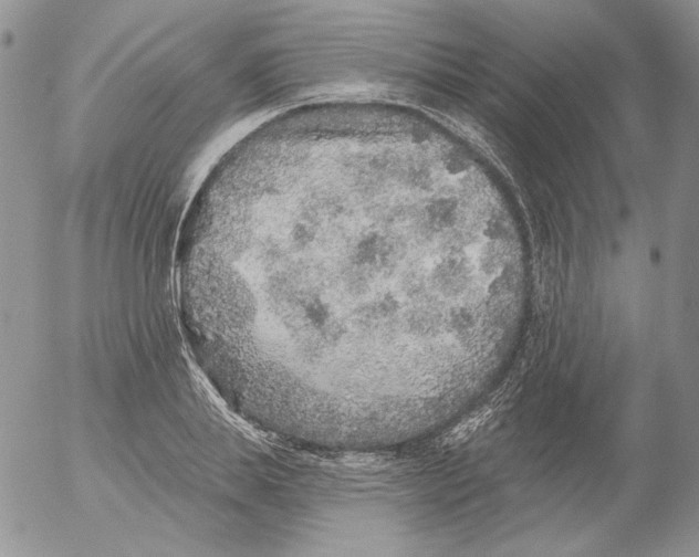 X0000053060839200508011912