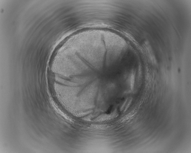 X0000053060840200508011912