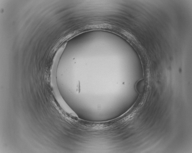 X0000053060841200508011912