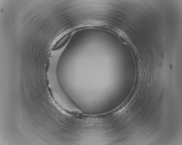 X0000053060842200508011912