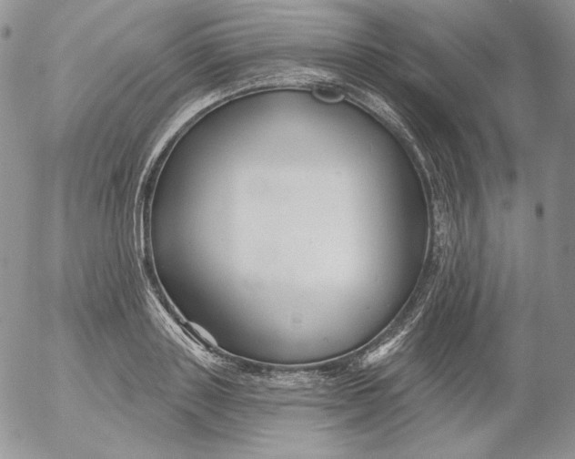 X0000053060843200508011912