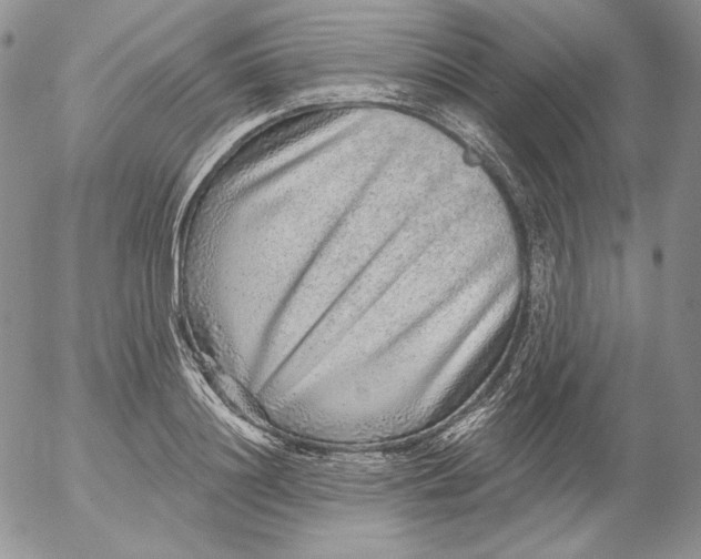 X0000053060844200508011912